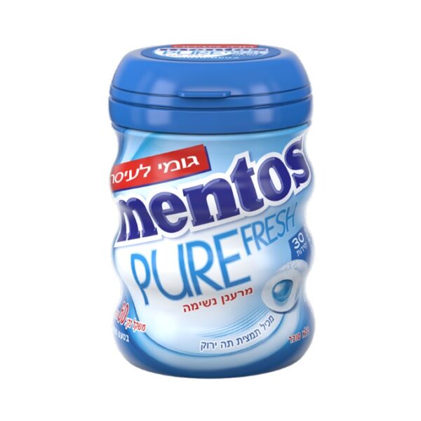 Mentos Gum Mint